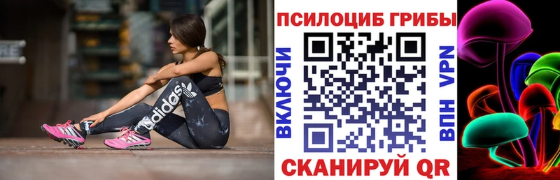Галлюциногенные грибы прущие грибы  где купить наркотик  darknet официальный сайт  Благовещенск 
