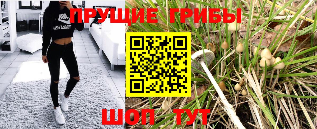 Псилоцибиновые грибы мухоморы  Вход с VPN  как найти закладки  Благовещенск 